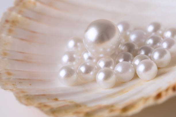 istock Beautiful white pearls on an oyster shell 2189251522