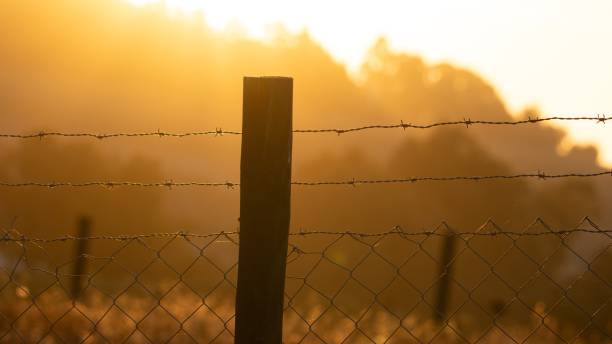 istock wire fence at golden hour 2189252653