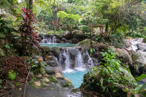 istock Photograph taken in Negros, Philippines 2189253306