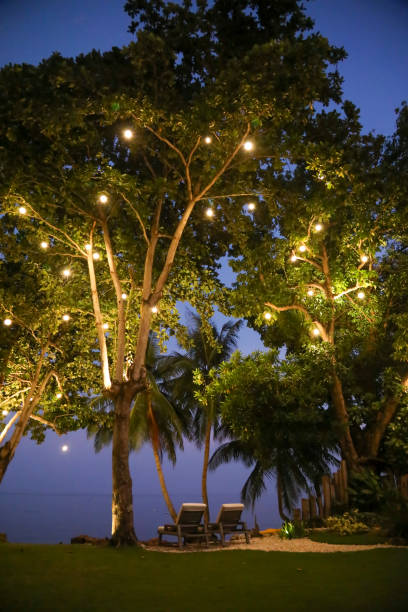 istock Photograph taken in Negros, Philippines 2189253542
