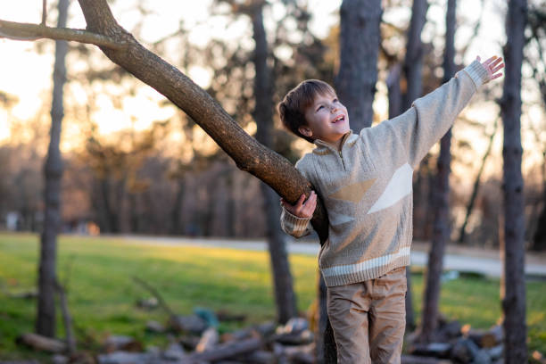 a boy clings to a tree in nature