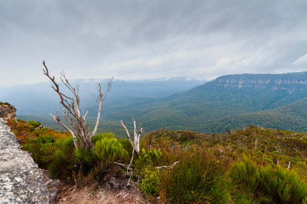 Photograph of the large and beautiful Grose Valley in Blackheath in the Blue Mountains in New South Wales in Australia