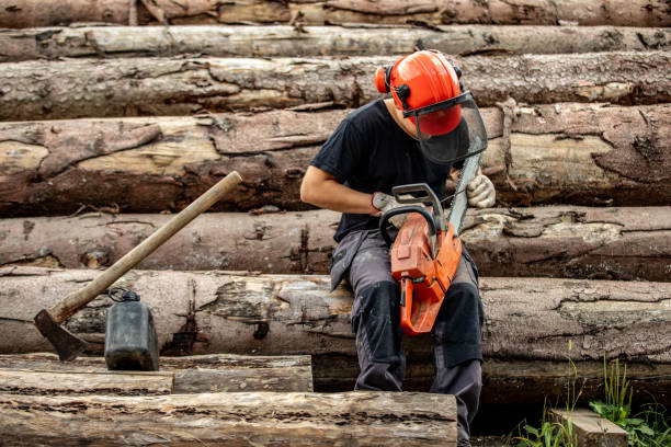 Wood worker taking a break to sharpen a chainsaw with a file
