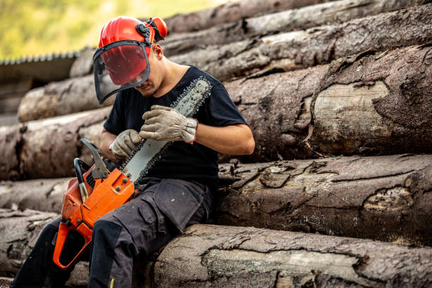 istock Wood worker taking a break to sharpen a chainsaw with a file 2189267968