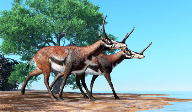 istock Kyptoceras Animals near Lake 2189267982