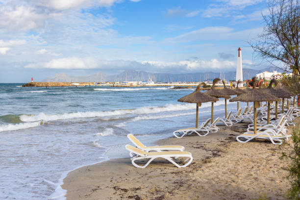 Sandy beach with straw umbrellas and sun loungers in Can Picafort, tourist resort in northern Mallorca. Balearic Islands, Spain