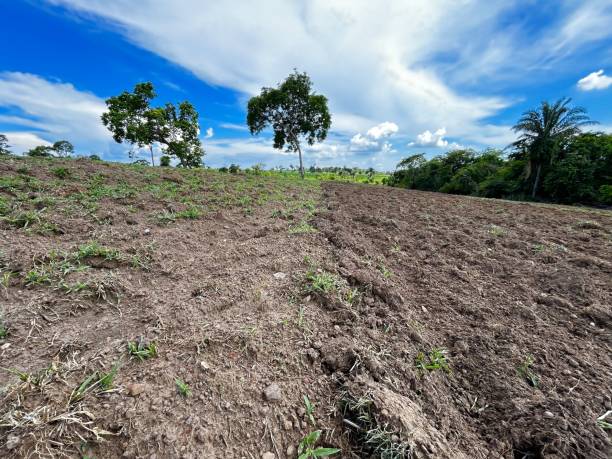 istock Degraded pasture area being harrowed. Pasture reform 2189269577