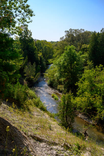 istock Salmon run in Ontario, Canada - A creek that flows into Lake Ontario 2189269770