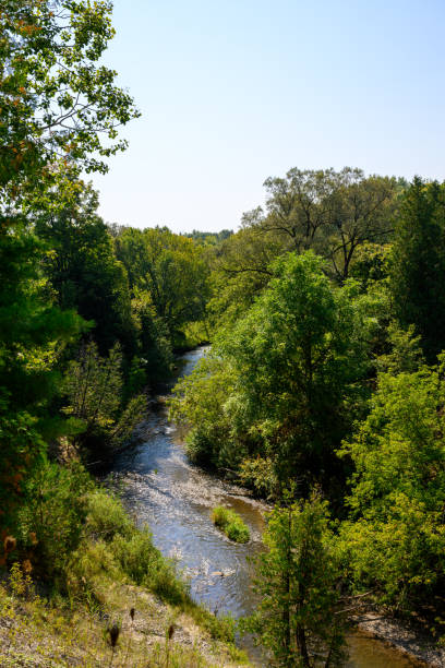 istock Salmon run in Ontario, Canada - A creek that flows into Lake Ontario 2189269811