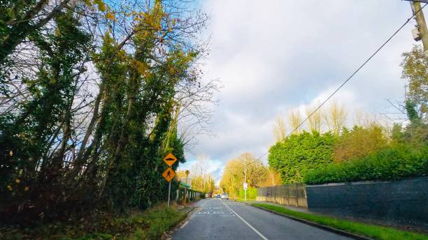 istock A country road view in Dublin 2189271331