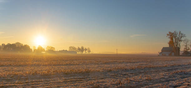 Farm Sunrise-Corn field with light frost- Howard County, Indiana
