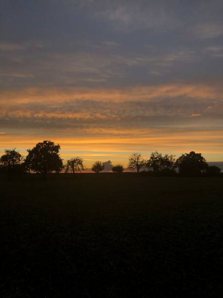 istock Evening mood orange colored sky in front contours of trees 2189277175