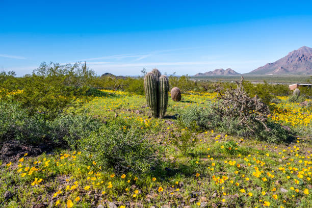 Epic landscape scenery from the walking trail of the state park