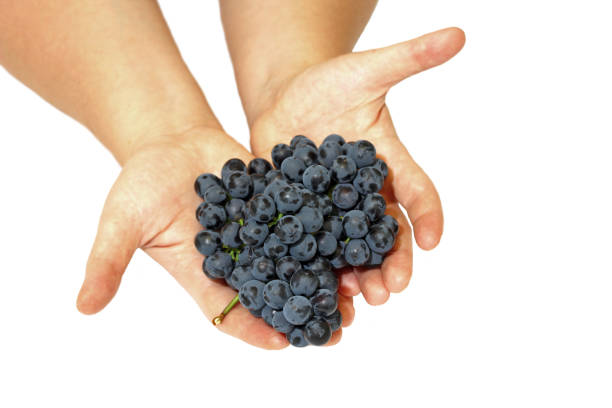 istock Female hand with some grapes on a white background 2189288533