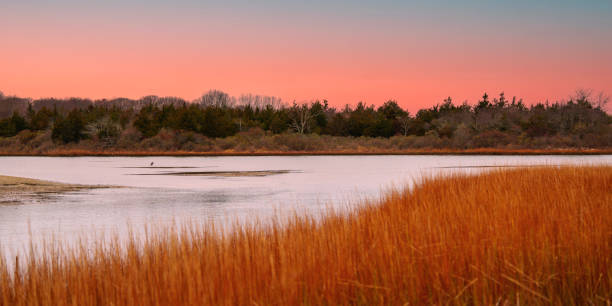 istock Tranquil seascape on Truman's Beach Marsh on Long Island 2189293784