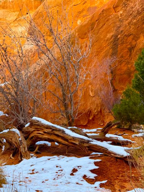 Arches is a national park in eastern Utah with over 2000 sandstone arches.