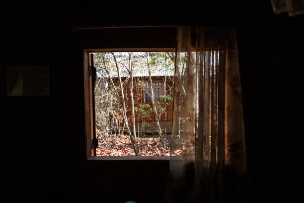 istock View Through a Window of Trees and a Building 2189298230