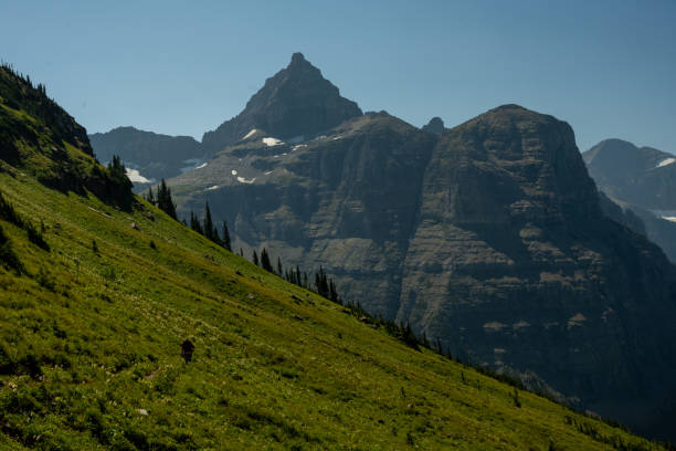 istock Hiker Cross The Steep Grassy Meadows Of Boulder Pass Trail 2189299109