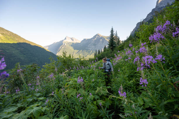 istock Woman Hikes on Narrow Trail through Fireweed 2189299648