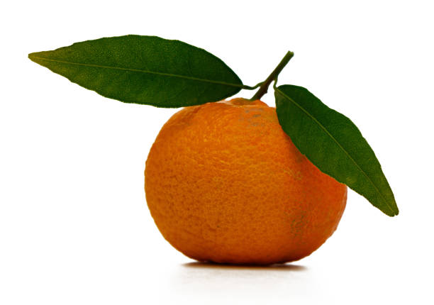 A vibrant orange rests on a white surface, topped with fresh green leaves that enhance its juicy appeal.