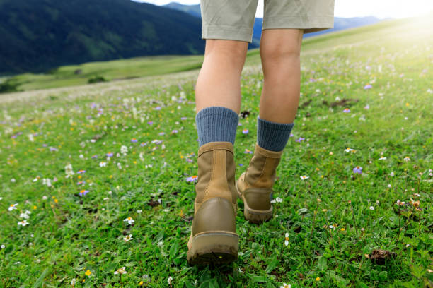 istock Hiker legs walking on beautiful flowering grassland 2189302946