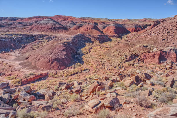 istock Canyon leading into Dead Wash at Petrified Forest AZ 2189304549