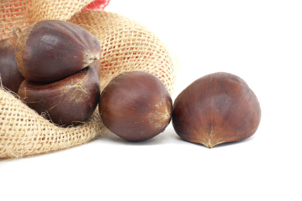istock Close-Up of Fresh Chestnuts in Burlap Sack on White Background 2189309764