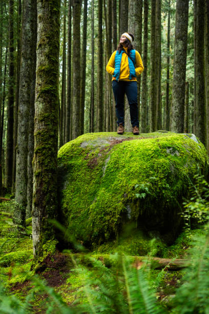 istock Hiker on mossy rock in rainforest 2189312036