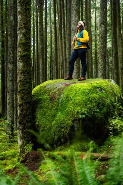 istock Hiker on mossy rock in rainforest 2189312047