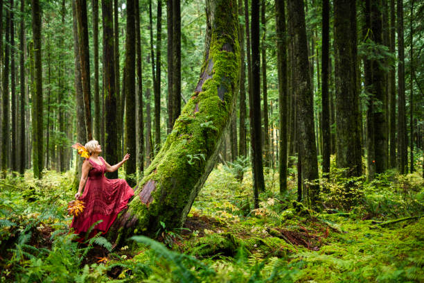 istock Woman admires a mossy slanted tree in the rainforest 2189312061