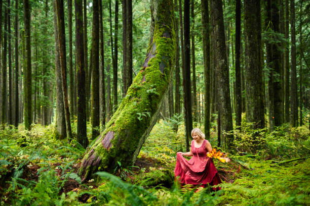 istock Frolicking in a mossy fairytale rainforest 2189312062