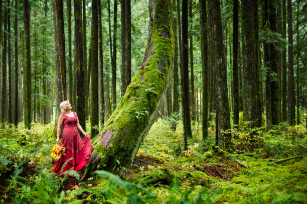 Woman admires a mossy slanted tree in the rainforest