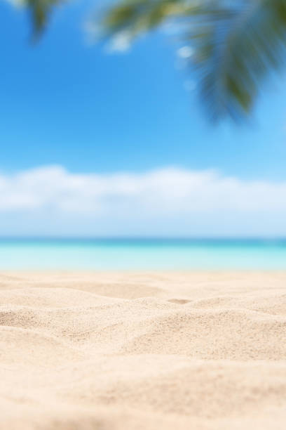 istock Empty tropical sand beach with palm leaves and clear sky abstract background 2189313714