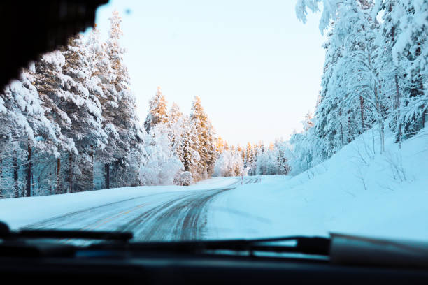 istock Snowy pine trees by the road 2189316392