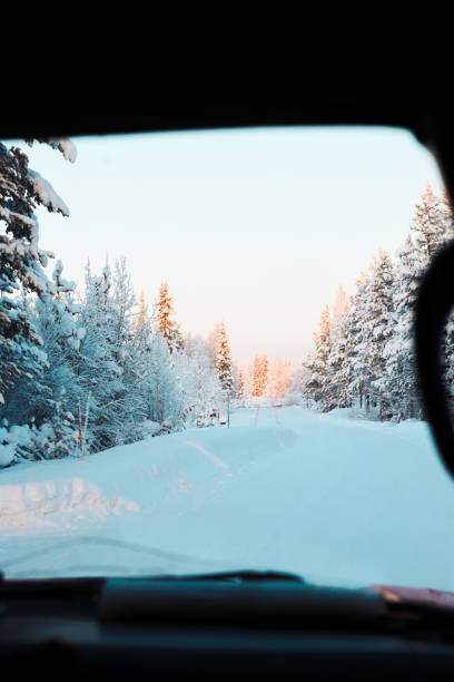 istock Snowy pine trees by the road 2189316569