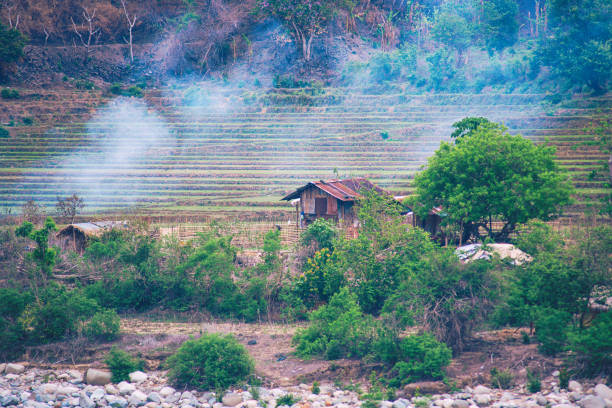 A traditional farm hut among the terraced fields.