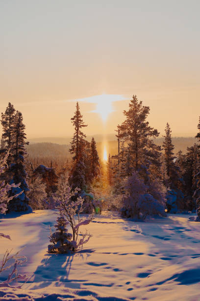 istock Sunset in Lapland Finland, winter 2189321770