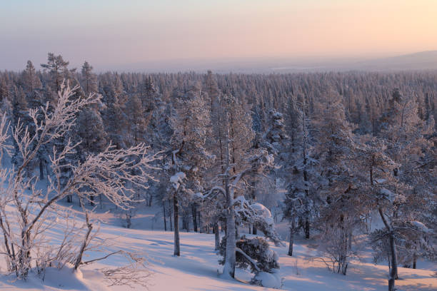 istock Sunset in Lapland Finland, winter 2189322054
