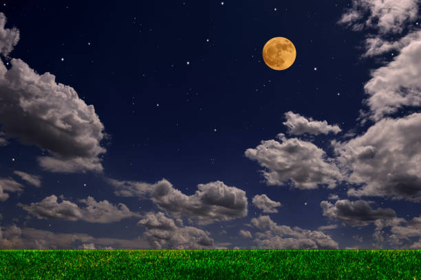 round moon on the background of nature