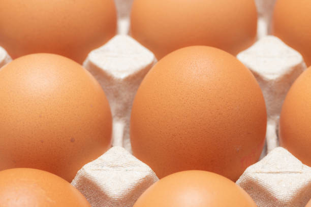 Raw chicken eggs in egg carton container close up