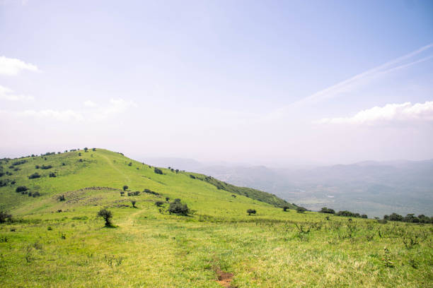 A view of the hills trail on a sunny day.