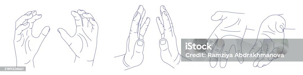 Middle Position Hands Set Of Hand Gestures In Various Positions Contour Vector Sketch ...