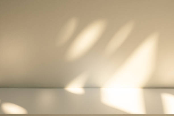 istock Studio style background wall decoration presentation uses white and beige tones. with shadows cast from a nearby window, concept creating a decorative 2189329382