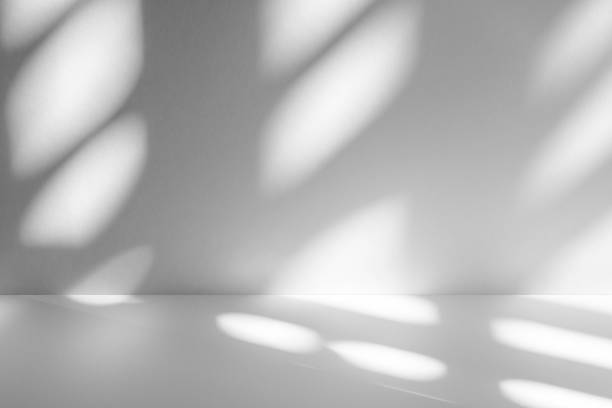 istock Wall interior background, studio and backdrops show products.with shadow from window color white . background for text insertion and presentation product 2189329410