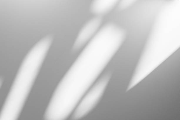 istock Wall interior background, studio and backdrops show products.with shadow from window color white . background for text insertion and presentation product 2189329426
