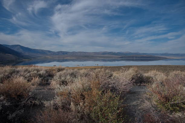 istock Grassy landscape with a lake 2189329577