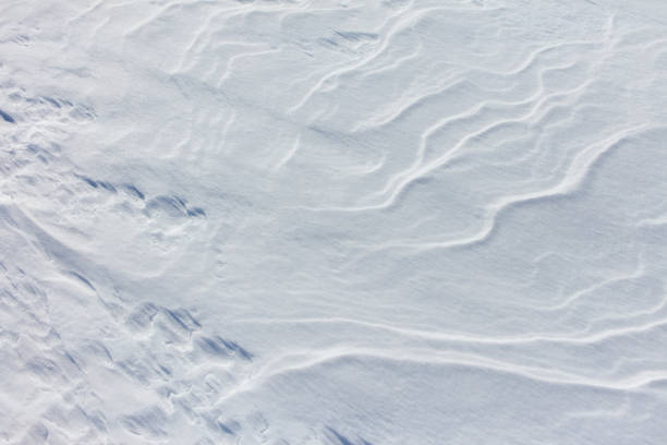 The snow is a bright white color and it covers the ground in a thick layer. The snow is so deep that it almost reaches the ground, creating a beautiful and serene winter landscape