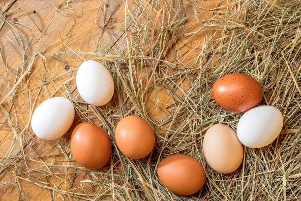 istock Fresh chicken eggs in the hay on a rustic wooden background 2189337390