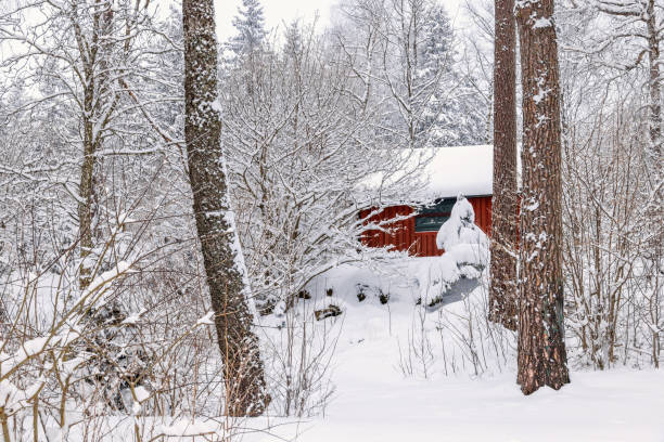 istock Red cottage in a beautiful winter forest 2189339012