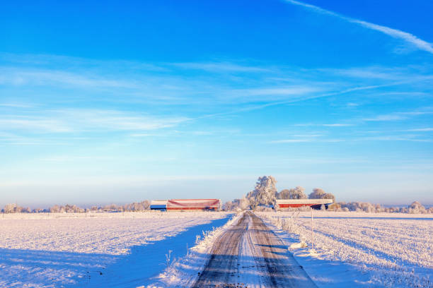 Long straight snowy road to a farm in a cold wintry landscape